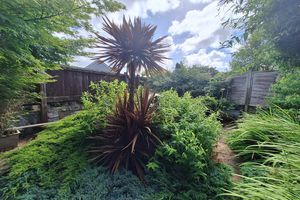 Garden- click for photo gallery